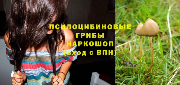 прущие крисы Баксан