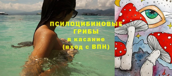 прущие крисы Баксан